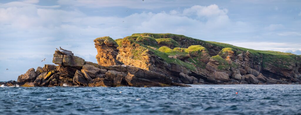 One of the Bird Islands