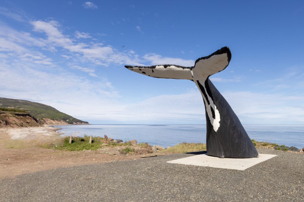 A Whale tail sculpture at Pleasant Bay