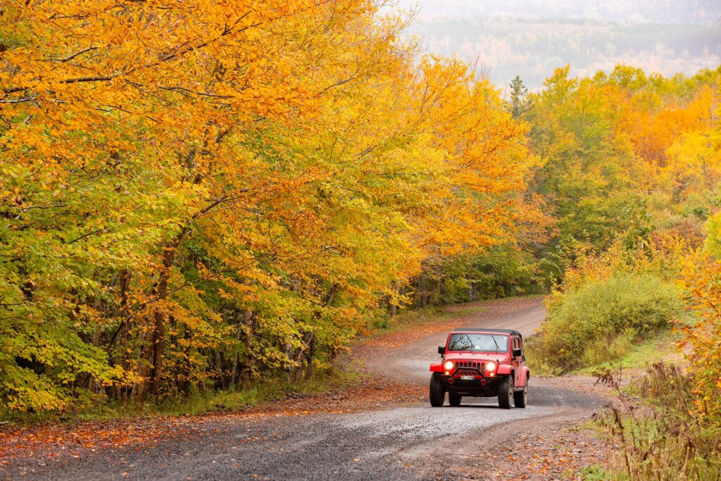 A red Jeep drives on a dirt road with autumn leaves in the background