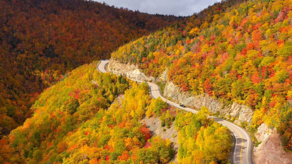 A fall photo along the Cabot trail