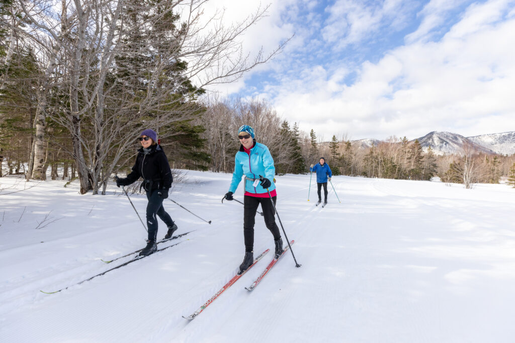 Cross country skiers skiing