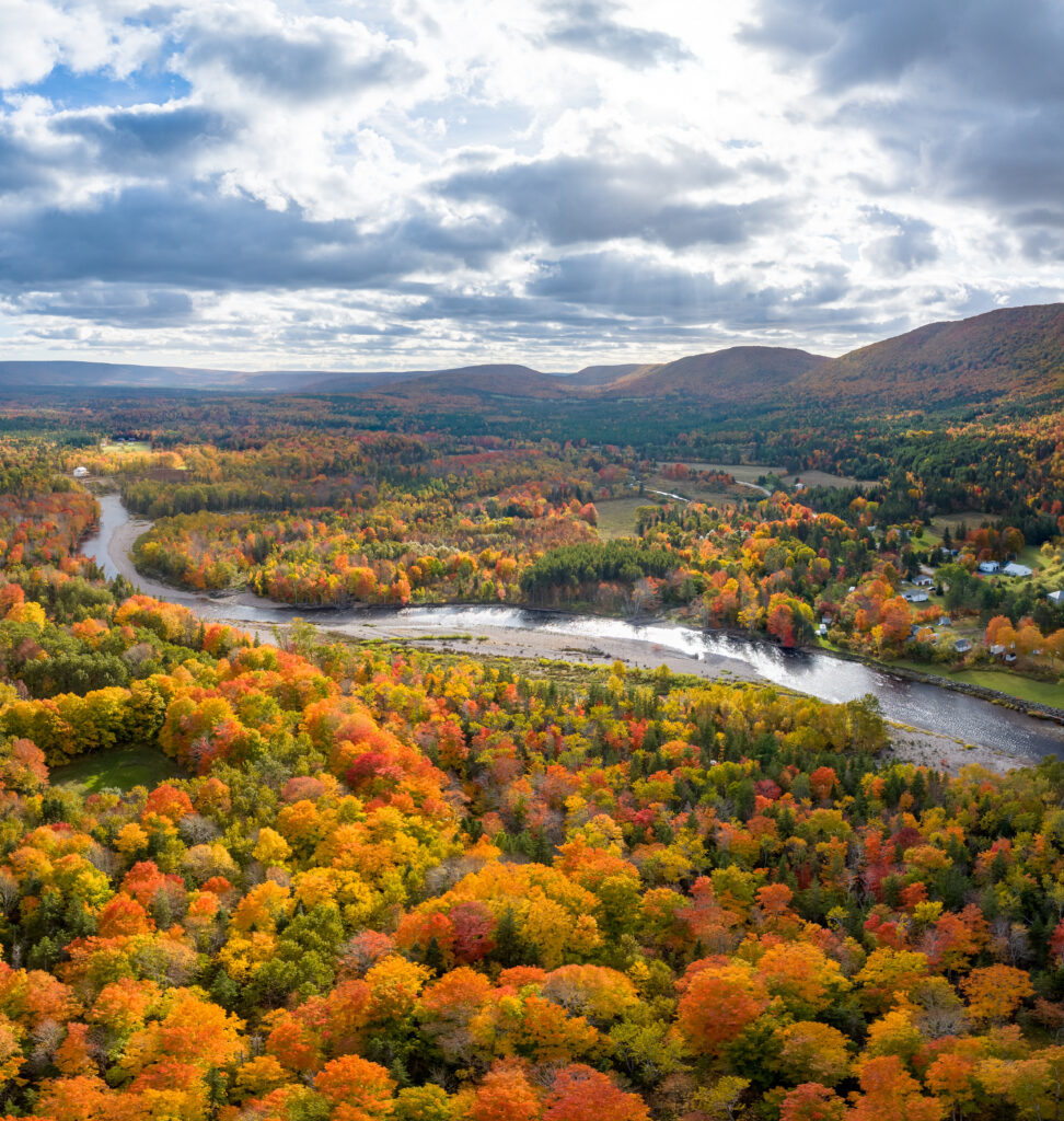 Aerial photo of fall colours in margaree